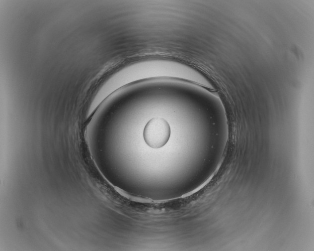 X0000110910256200906181349