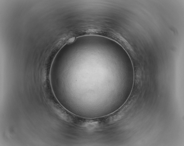 X0000110910257200906181349