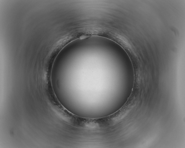 X0000110910258200906181349