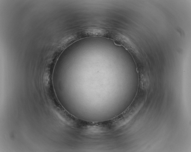 X0000110910259200906181349