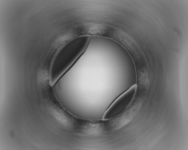 X0000110910260200906181349