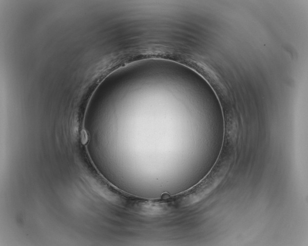 X0000110910261200906181349