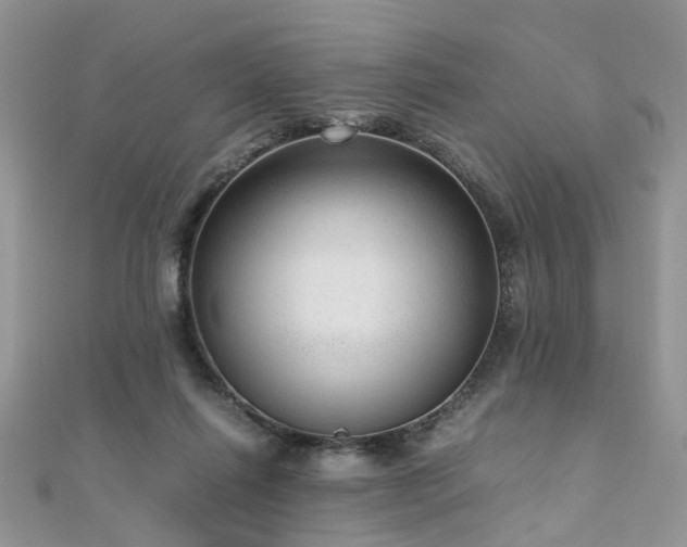 X0000110910262200906181349