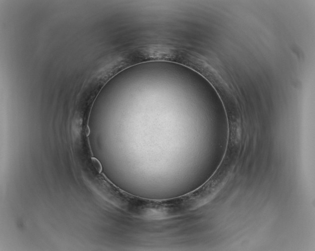 X0000110910263200906181349