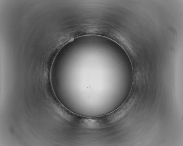 X0000110910265200906181349