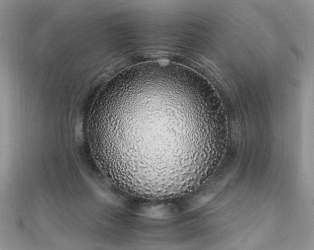 X0000110910267200906181349