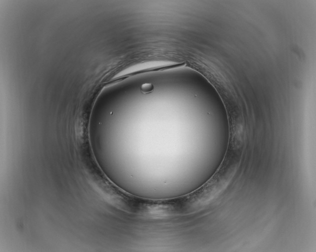 X0000110910268200906181349