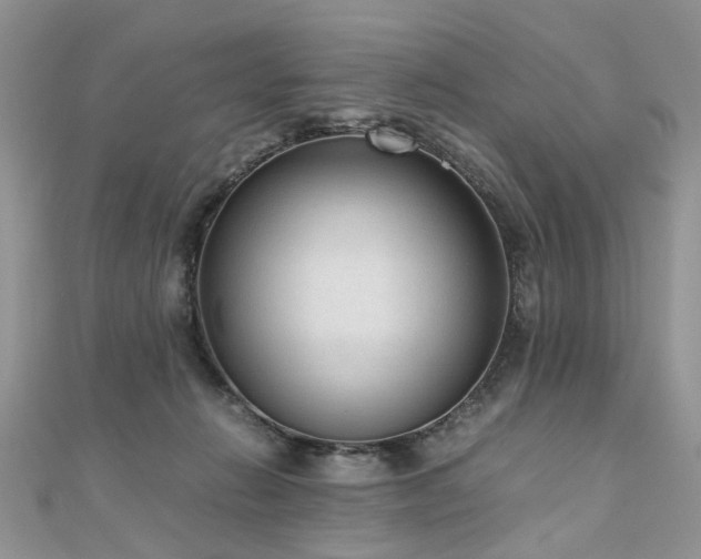 X0000110910270200906181349