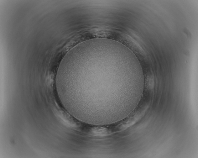 X0000110910271200906181349