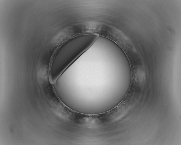 X0000110910272200906181349