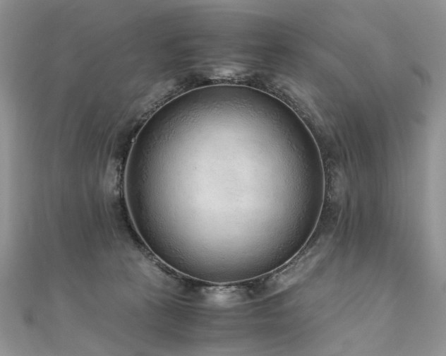 X0000110910273200906181349