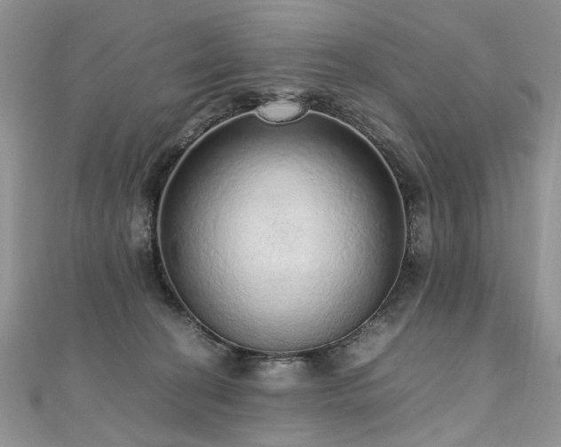 X0000110910274200906181349