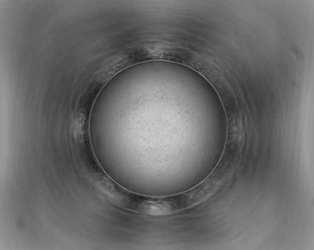 X0000110910275200906181349