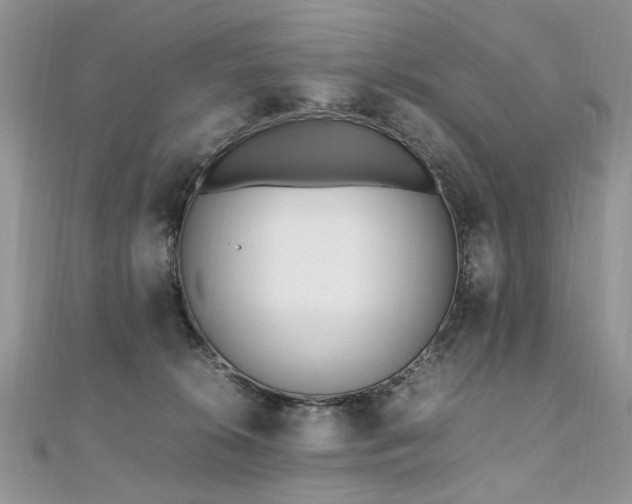 X0000110910276200906181349