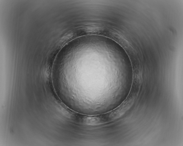 X0000110910277200906181349