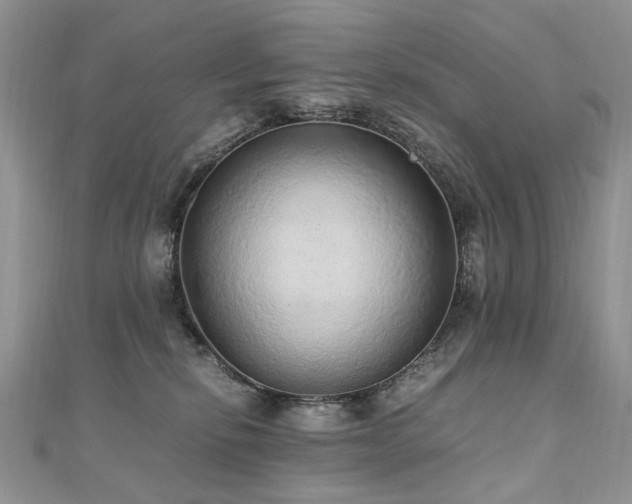 X0000110910278200906181349