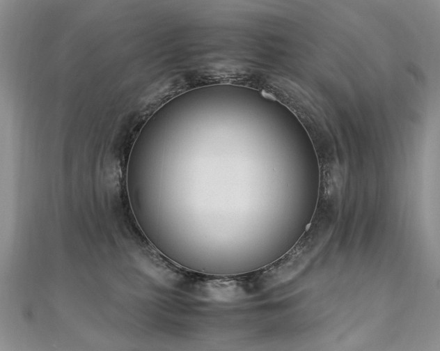 X0000110910279200906181349