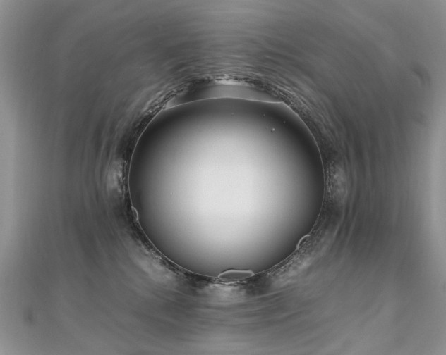 X0000110910280200906181349