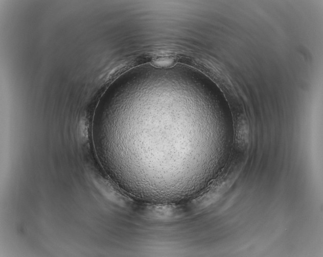 X0000110910282200906181349