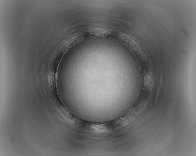 X0000110910283200906181349