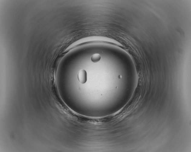 X0000110910284200906181349