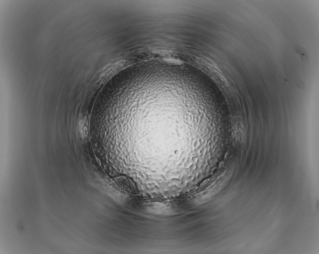 X0000110910285200906181349