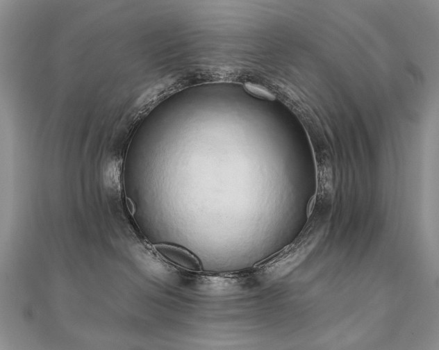 X0000110910286200906181349