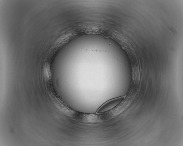 X0000110910287200906181349