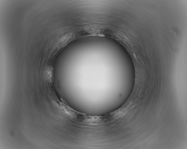 X0000110910288200906181349