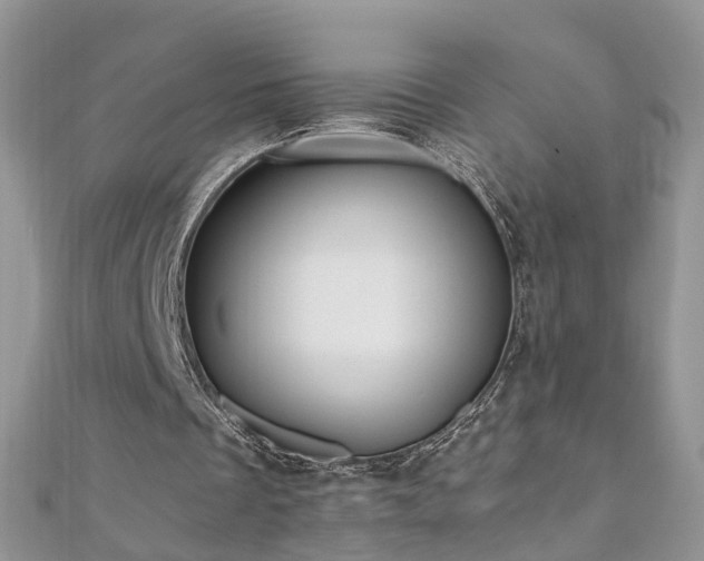 X0000110910289200906181349