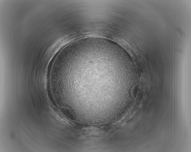 X0000110910290200906181349