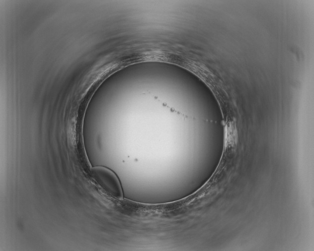 X0000110910291200906181349