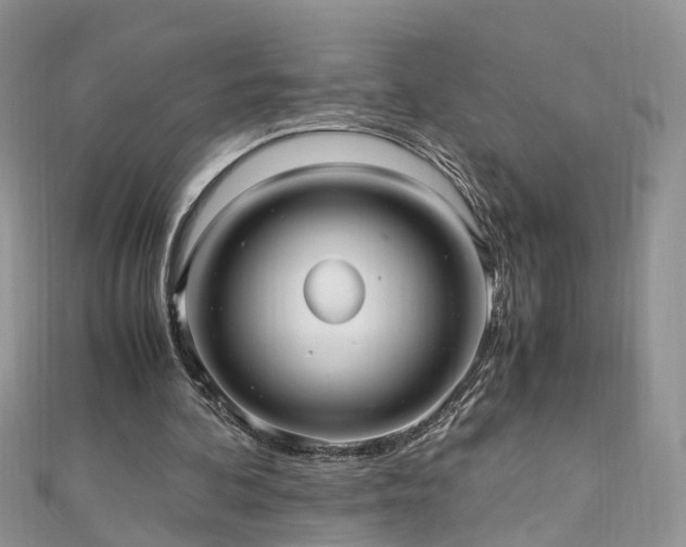 X0000110910292200906181349