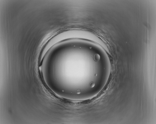 X0000110910293200906181349