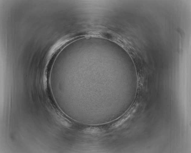 X0000110910294200906181349