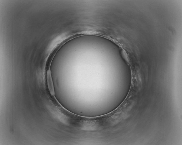 X0000110910296200906181349