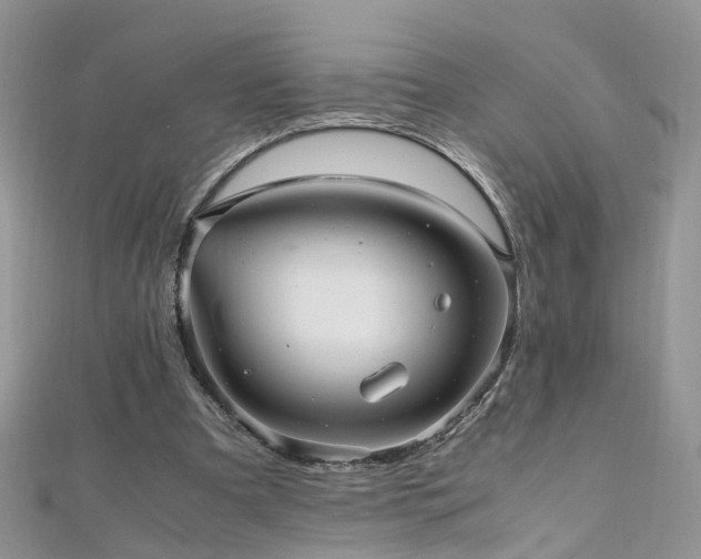 X0000110910297200906181349