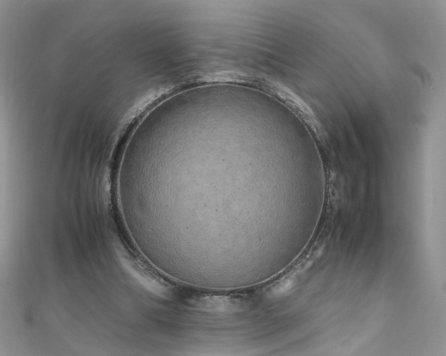 X0000110910298200906181349