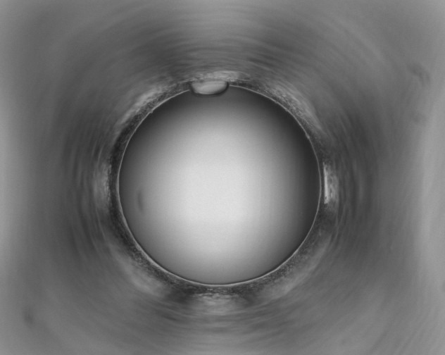 X0000110910300200906181349