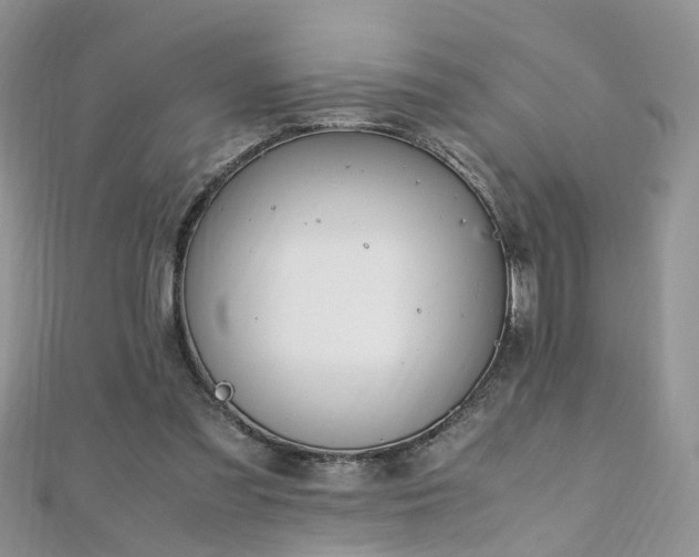 X0000110910301200906181349