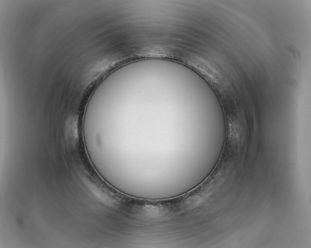 X0000110910302200906181349