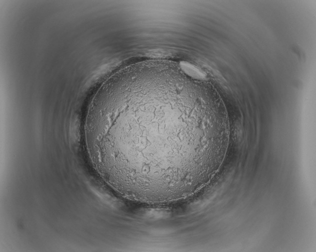 X0000110910303200906181349