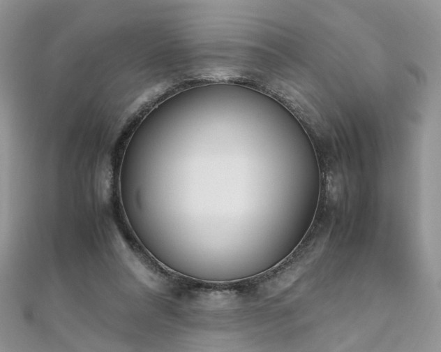 X0000110910304200906181349