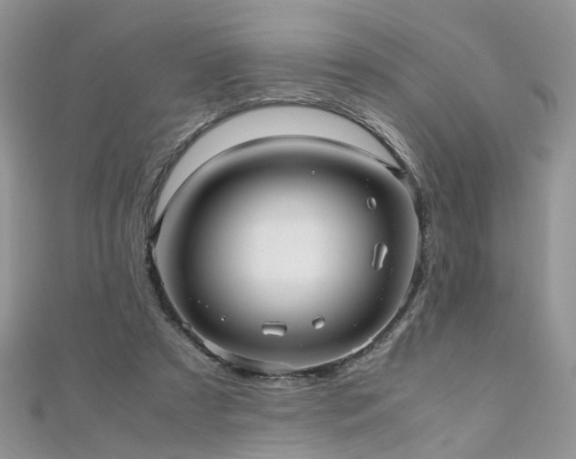 X0000110910305200906181349