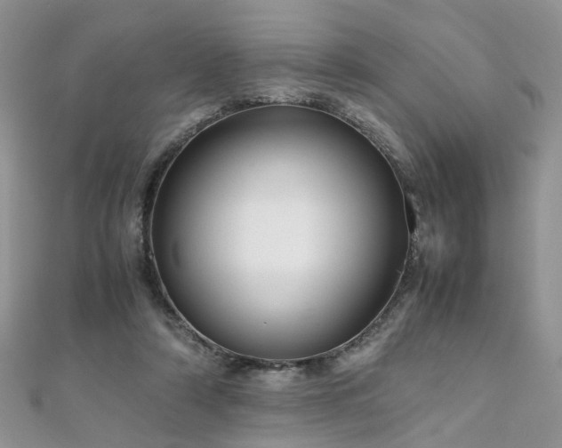 X0000110910306200906181349