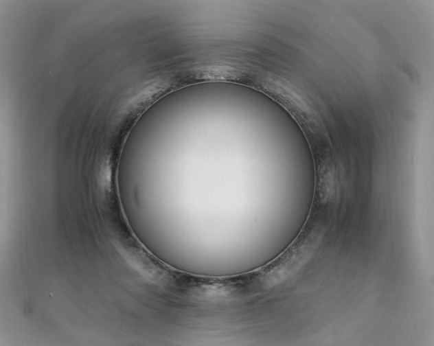 X0000110910310200906181348