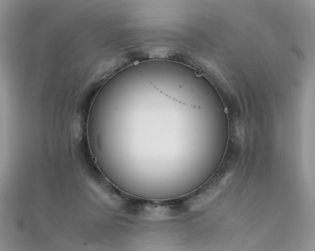 X0000110910311200906181348