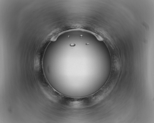 X0000110910312200906181348