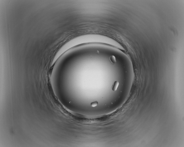 X0000110910313200906181348