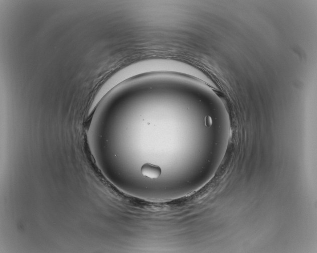 X0000110910317200906181348